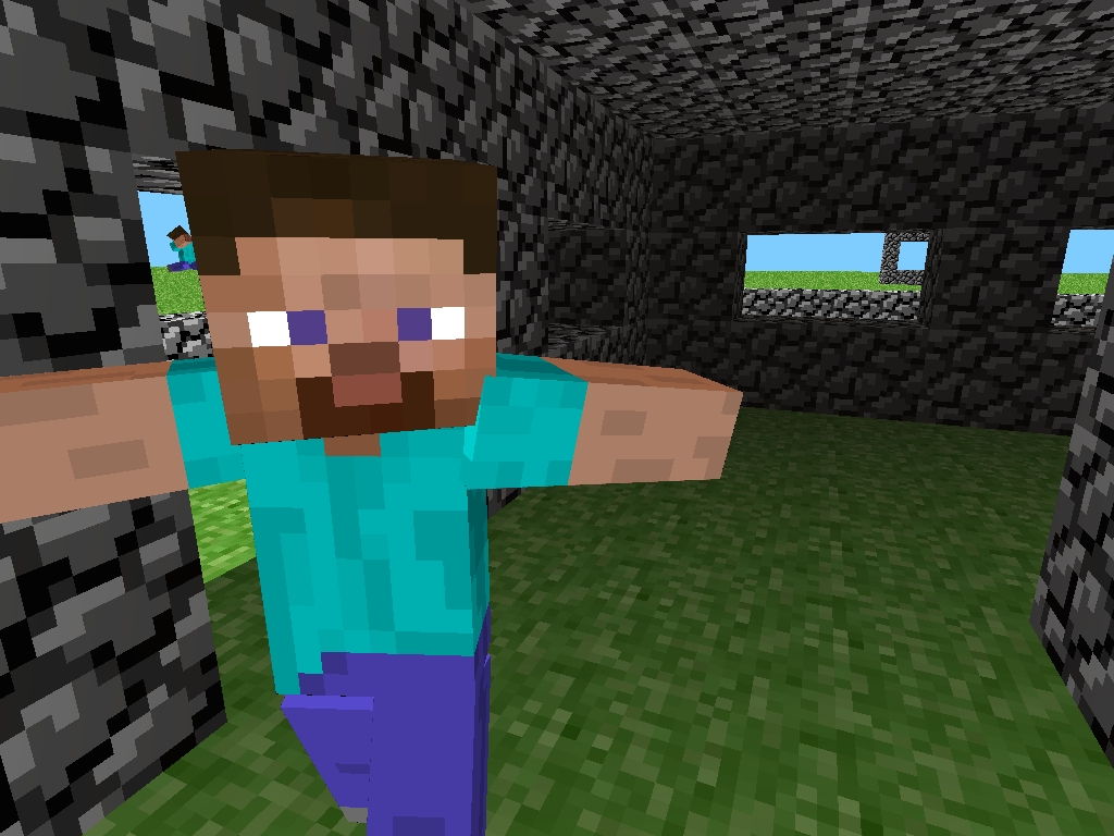 Minecraft guy